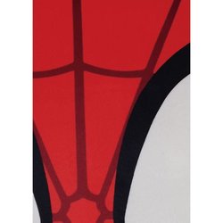 Cojín 3D - SPIDEY - Microfibra - 40 cm