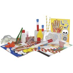 A la découverte du corps humain - HELLO MAESTRO