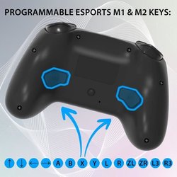 Kabelloser Controller - SUBSONIC - Switch 2 / Switch - Programmierbare