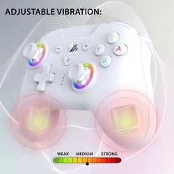 Kabelloser Controller - SUBSONIC - Schalter 2 / Schalter - Programmier
