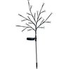 Arbusto a fioritura solare - GALIX - G4505 - H72