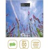 Báscula de baño - LITTLE BALANCE - USB-C - Lavanda
