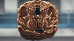 Baki Hanma Blood Arena - Jogo para Nintendo Switch