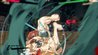 Baki Hanma Blood Arena - Juego de Nintendo Switch