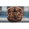 Baki Hanma Blood Arena - Gioco per PS5