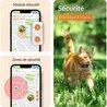 GPS -Tracker für Chat - Weenect XS (Black Edition 2023)