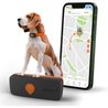 Tracker GPS per cani - Weenect XS (Black Edition 2023)