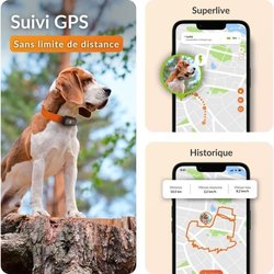 GPS tracker for dogs - Weenect XS (Black Edition 2023)