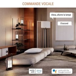 Mini presa intelligente - KONYKS - Priska Max Nero FR - Wi-Fi+BT - 16A