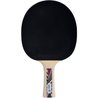 Table tennis racket - SCHILDKRÖT - LEGENDS 800 FSC
