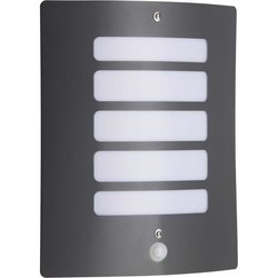 Wall light with todd color anthracite e27 detector