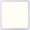 Luce del soffitto esterno Devera Colore Silver LED integrato