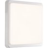 Luce del soffitto esterno Devera Colore Silver LED integrato