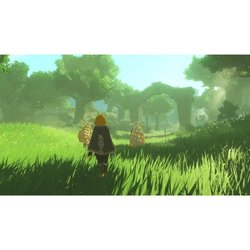 Hyrule Warriors: The Sealed Chronicles  Nintendo Switch Game 2