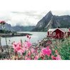 Puzzle 1000 pieces Reine, Lofoten, Norvege (Highlights), Adultes & enf
