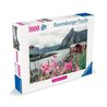 Ravensburger-Puzzle 1000p-Queen, Lofoten, Norvegia (In evidenza)-Adult