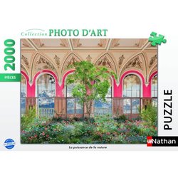 Nathan puzzle 2000 p  La
