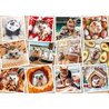 1500-Teile-Puzzle: Niedliches Tierfoto