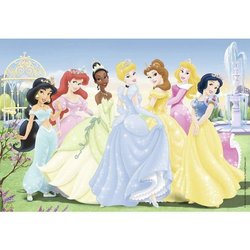 DISNEY PRINCESS Puzzle assembled princesses 2x24pcs