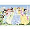 DISNEY PRINCESS Puzzle assembled princesses 2x24pcs