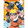 Nathan - Puzzle 250 piezas - Naruto en la academia ninja