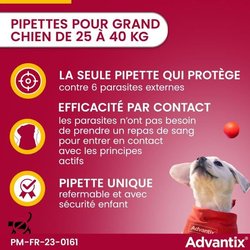 ADVANTIX 6 antiparasitaire pipetten - Voor grote honden van meer dan 2