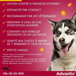 ADVANTIX 6 antiparasitaire pipetten - Voor grote honden van meer dan 2
