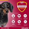 Pipette antiparassitarie ADVANTIX 6 - Per cani di piccola taglia da 4 
