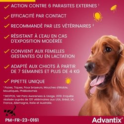 Pipette antiparassitarie ADVANTIX 6 - Per cani di piccola taglia da 4 