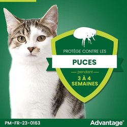 VANTAGGIO 80 - 4 pipette antiparassitarie - Per gatti e conigli da 4 k