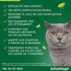 VANTAGGIO 80 - 4 pipette antiparassitarie - Per gatti e conigli da 4 k