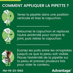 VANTAGGIO 80 - 4 pipette antiparassitarie - Per gatti e conigli da 4 k