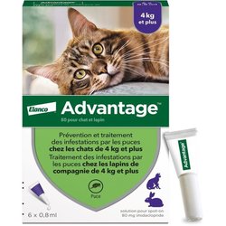 ADVANTAGE 80 - 6 Antiparasitenpipetten - Für Katzen und Kaninchen ab 4