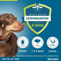SERESTO LITTLE DOGS HALSKETTE X2