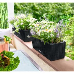 LECHUZA Jardiniere - Balconera cottage 50 - 50 x 19 x 19 - Kit complet