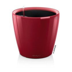 Jardiniere - Classico premium LS 21 - Kit completo - Rosso scarlatto b