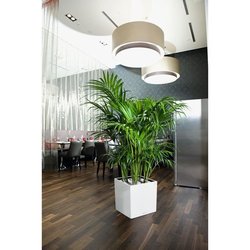 Maceta LECHUZA Cube Premium 40 - juego completo, blanco brillante