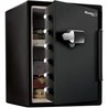 MASTER LOCK Feuerfester und wasserfester Safe (Touch-Code + Alarm) 56,