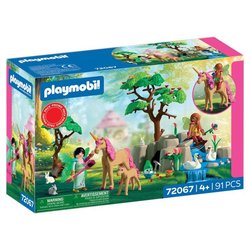 Playmobil 72067 Journée avec les fées, Les fées, Promo pack, 91 pieces