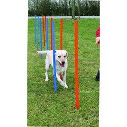 TRIXIE Agility Course Slalom Poles 115 cm 12 pcs Plastic