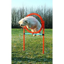 TRIXIE Agility-Hoop für Hunde 115 x 3 cm aus Kunststoff