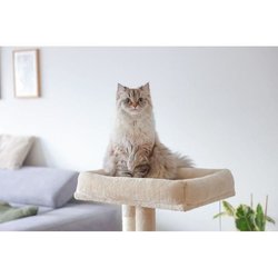 Tiragraffi per gatti 100 cm - ALESSIA - KERBL - Soft - Alcova a due pi
