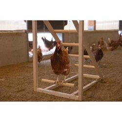 KERBL Chicken climbing tower - 85 x 55 x 76 cm - With swing - Robust l