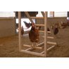 KERBL Chicken climbing tower - 85 x 55 x 76 cm - With swing - Robust l