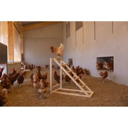 KERBL Chicken climbing tower - 85 x 55 x 76 cm - With swing - Robust l