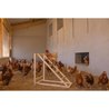 KERBL Chicken climbing tower - 85 x 55 x 76 cm - With swing - Robust l