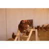 KERBL Chicken climbing tower - 85 x 55 x 76 cm - With swing - Robust l