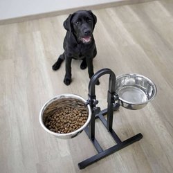 Gamelle pour animaux de compagnie TD Hauteur réglable Conception sépar