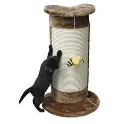 Baum braun Winkel Katze