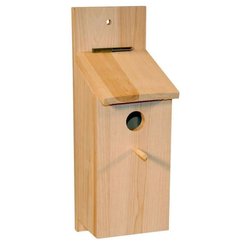 Vogelhaus - Richten Sie einen Vogel